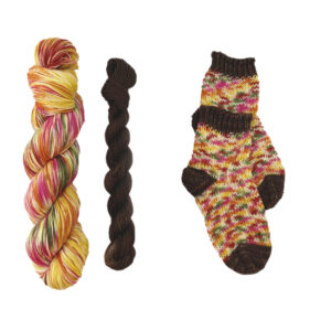 Autumn Kaleidoscope Sock Kit