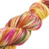 autumn-kaleidoscope-8