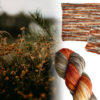 harvest-meadow-sock-8