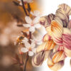 wildflower-honey-dk-10 wildflower-honey-dk-10