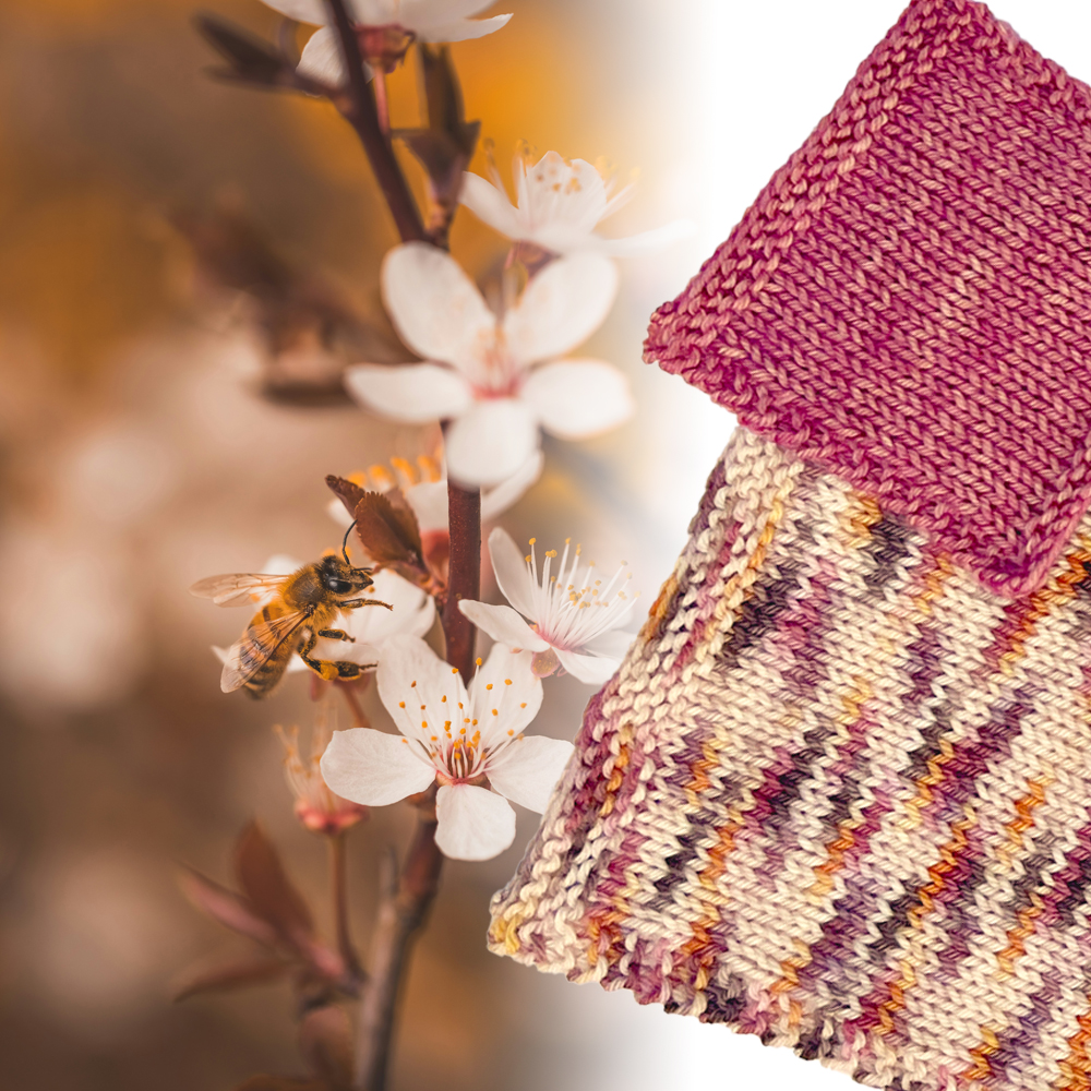 wildflower-honey-kit-5