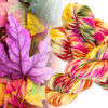 autumn-kaleidoscope-dk-9 autumn-kaleidoscope-dk-9