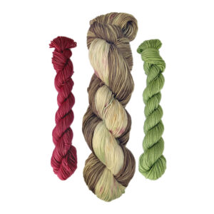 Cookies for Santa Sock Kit