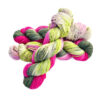dragon-fruit-dk-6