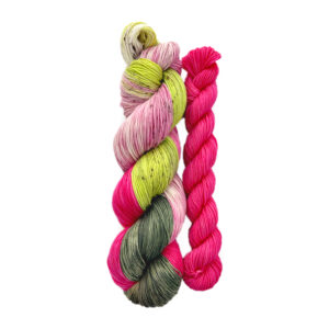 Dragon Fruit Sock Kit