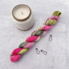 dragon-fruit-mini-7