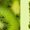 paradise-green-12