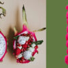 pitaya-12