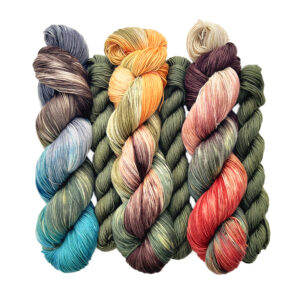 Enchanted Hollow Sock Kit Bundle